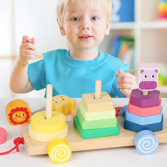 Animals on slider -wood-Teaching aids