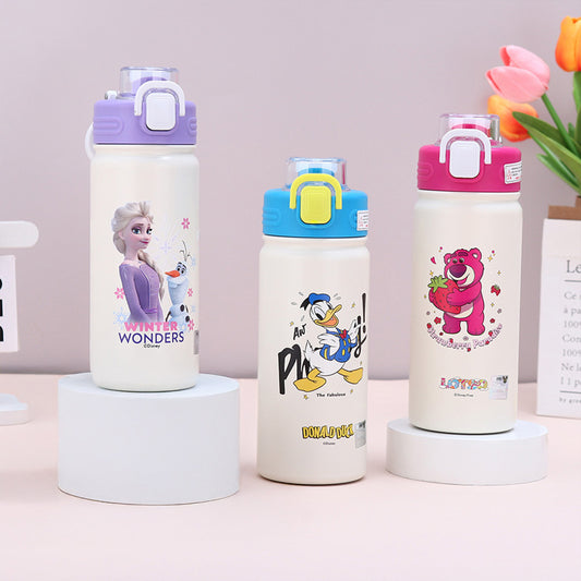 Disney Stainless 316 500ml bottle